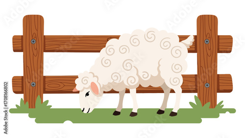 Charming illustration of a fluffy white sheep grazing peacefully in a green meadow by a rustic wooden fence. Symbol of agriculture and serene farm life