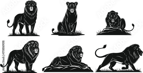 Lion, silhouettes, standing, sitting, walking, reclining, majestic, wild, animal, vector, illustration, mane, predator, savannah, posture, feline, strength, nature, graphic, design