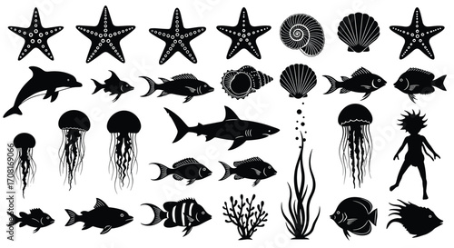 Ocean, marine, life, silhouettes, underwater, species, dolphins, starfish, shells, fish, seaweed, jellyfish, mermaid, coral, vector, art, nature, illustration, aquatic, design