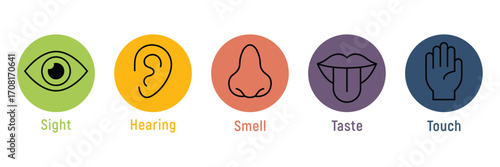 Human senses icon set. Vision eye, smell nose, hearing ear, touch hand, taste mouth with tongue. set of human five senses icon. Vector illustration. EPS 10