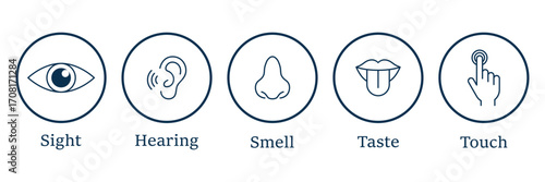 Five human senses editable stroke outline icons set. Flat vector illustration of human senses including ear, eye, nose, lips, and hand in minimalist design style. Five senses of human nervous system