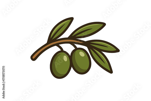 Olive branch with green leaves and fruit vector illustration. Natural organic food concept for healthy lifestyle and Mediterranean diet. Symbol for extra virgin olive oil package.