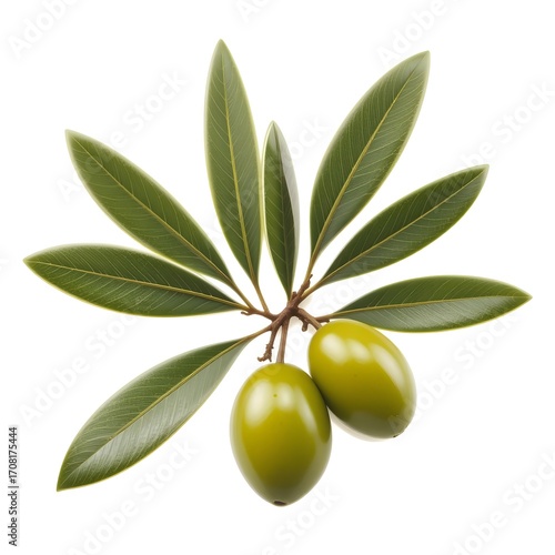 Wallpaper Mural green olives with leaves Torontodigital.ca