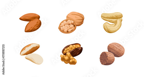 Realistic nut collection set on white background