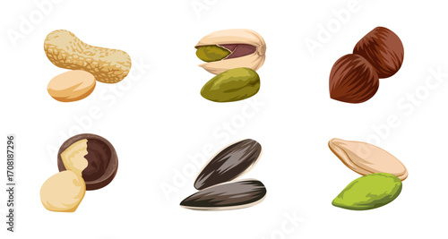 Realistic nut collection: peanuts, pistachios, hazelnuts, walnuts, seeds