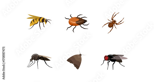 Collection of common insects in modern flat style
