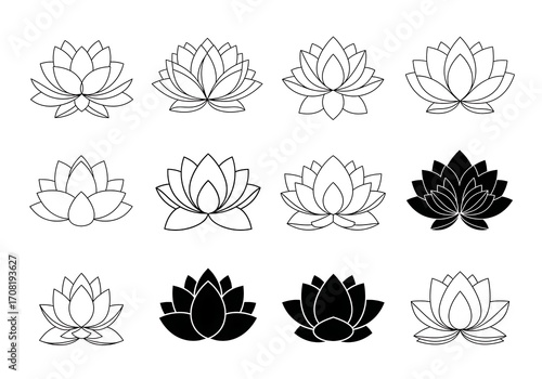 Twelve lotus flower illustrations in black and white