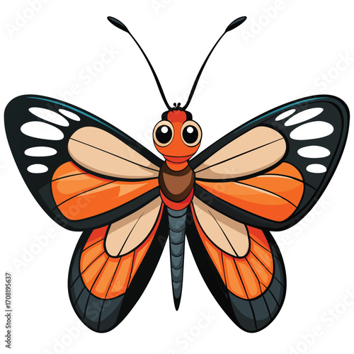 Cartoon orange butterfly with black and white wing patterns on white background Keywords: butterfly, insect