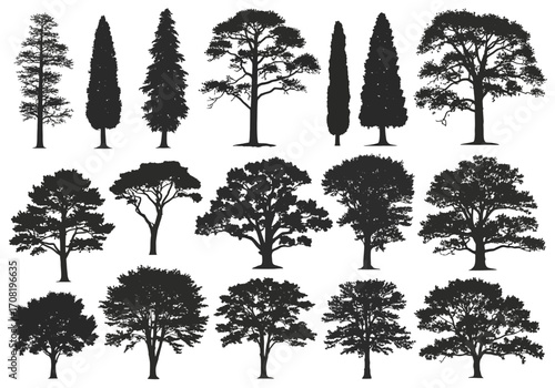 Vector art of assortment of stylized tree silhouettes, featuring different species and growth patterns, presented on a clean for versatile graphic applications