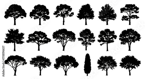 Vector art of collection of diverse tree silhouettes isolated on a clean, showcasing various shapes and species for graphic design and illustration projects