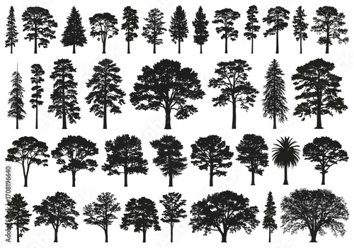 Vector art of collection of diverse tree silhouettes, including various coniferous and deciduous species, isolated on a, showcasing different shapes and sizes for design elements