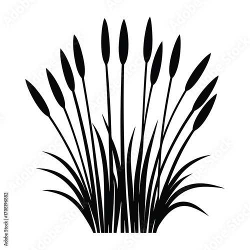 a black and white silhouette of a plant with reeds