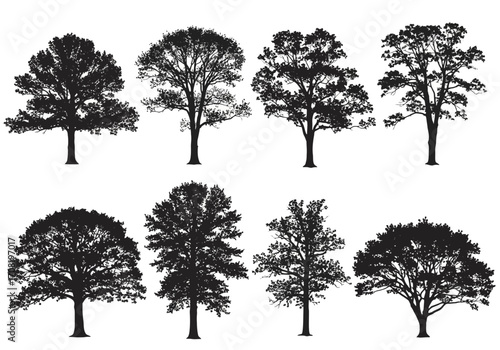 Vector art of assortment of mature deciduous trees in silhouette, , displaying full canopies and intricate branch networks for artistic use