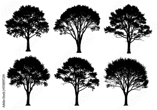Vector art of a collection of six distinct black tree silhouettes with full leafy canopies, isolated on a clean, showcasing varied shapes and branch structures