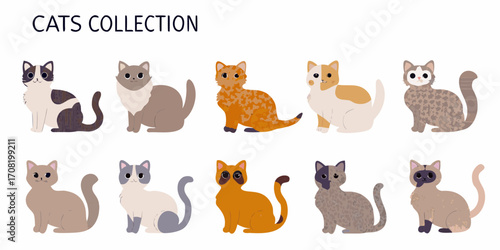 Collection of Ten Cute Cartoon Cats in Various Poses Keywords: cat, kitten, feline, animal, pet