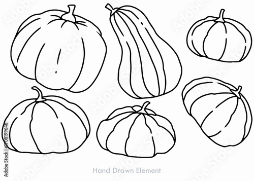 A collection of hand-drawn pumpkins and squash in various shapes and sizes, outlined in black on a white background.
