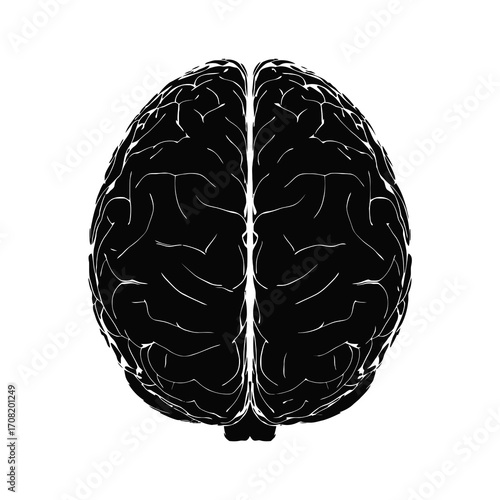 Black silhouette of a human brain isolated on white background silhouette