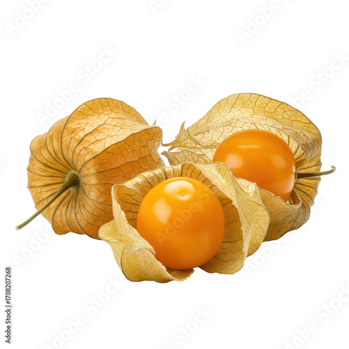 Ripe physalis berries isolated on transparent background
