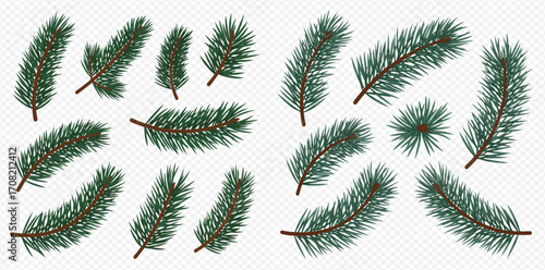 Collection of various pine branches, isolated on white background.  Perfect for design elements.