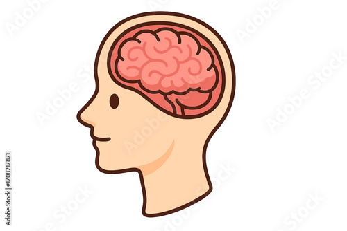 Human head profile with brain icon. Vector illustration concept for psychology, intelligence, mind, thinking, knowledge, anatomy, and neurology. Simple science cartoon graphic.