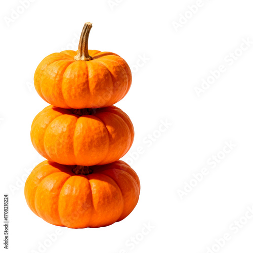 Vertical stack of three small orange pumpkins isolated on black background