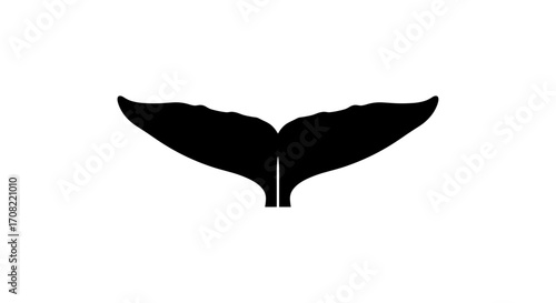 Whale tail silhouette in black on a transparent background  