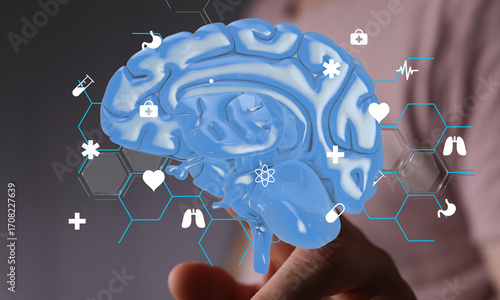 3D model of a human brain w...
