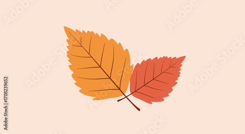 Two beautiful autumn leaves with detailed veins and vibrant colors. The leaves are orange and red. This image symbolizes the changing seasons and nature's beauty.