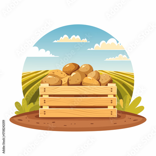 Kartoffelernte