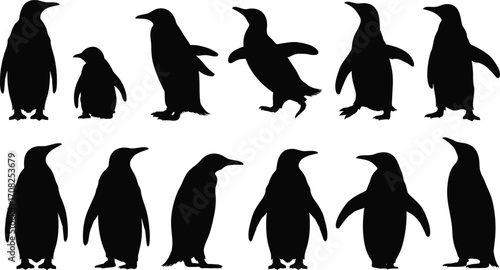 Penguin silhouettes, black figures, walking poses, standing penguins, motion illusvector clipart, editable graphic, bird shapes, Antarctic animals, penguin stances, nature symbols, isolated