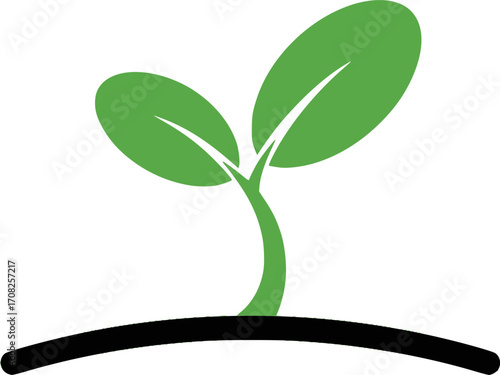 Green sprout seedling illustration new growth plant nature organic isolated vector