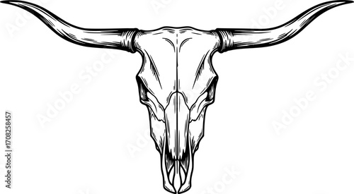 Detailed linework longhorn steer skull western americana rustic animal skull art vector
