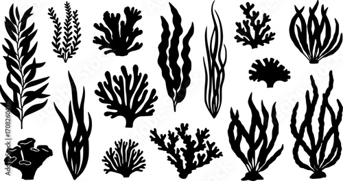 Collection sea plants silhouette marine underwater flora aquatic botanical nature design elements vector