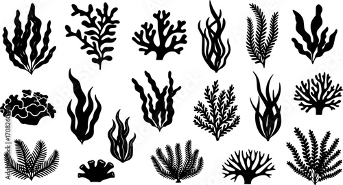 Collection sea plants silhouette marine underwater flora aquatic botanical nature design elements vector