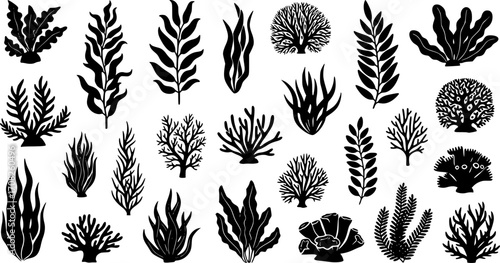 Collection sea plants silhouette marine underwater flora aquatic botanical nature design elements vector