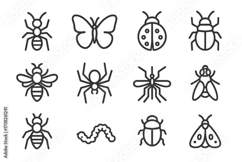 Insect line icon set. Bug collection with editable stroke. Ant, butterfly, ladybug, bee, spider, mosquito, fly, moth and beetle. Minimalist vector illustration for design.