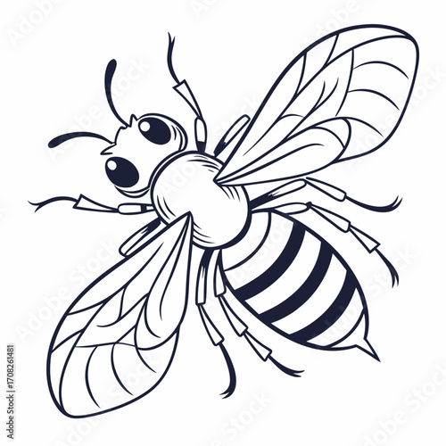 Bee Illustration Detailed Line Art for Nature and Wildlife Projects