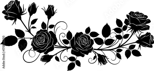 Elegant silhouette roses floral design vector illustration romantic bloom botanical art vector