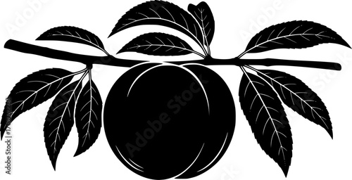 Ripe peach fruit with green leaves on branch fresh healthy food illustration vector