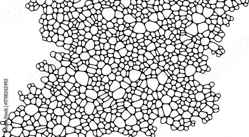 Abstract organic cell network pattern texture background digital art organic cellular structure vector