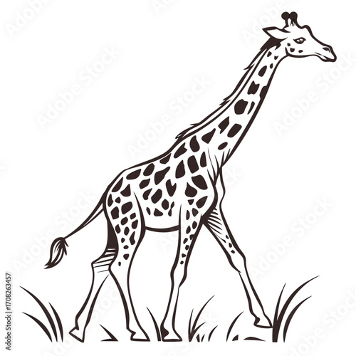 Cartoon Giraffe Outline in Nature, Africa's Tallest Animal