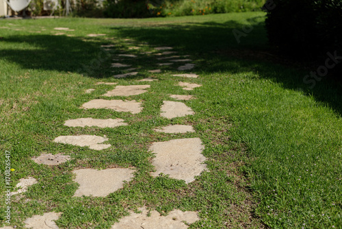 Scenic garden path with ste...