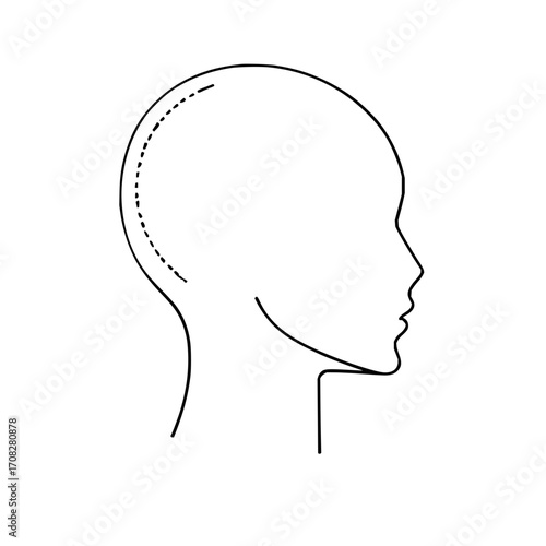 Head face profile outline human silhouette drawing anatomy illustration medical design vector graphic art 100