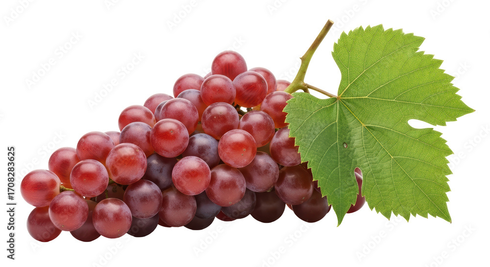 Obraz premium Isolated Bunch of Grapes