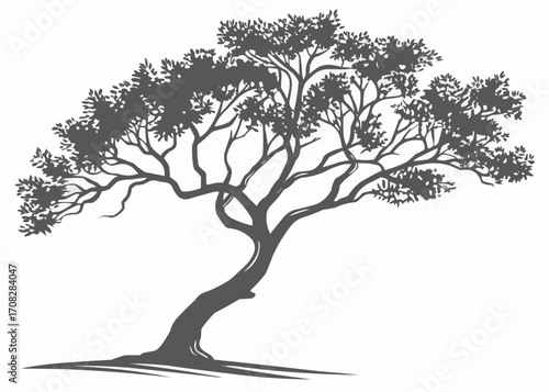 Silhouette Icon of an Olive Tree Isolated on White Background