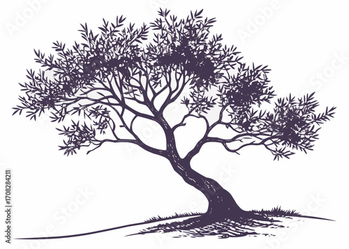 Silhouette Icon of an Olive Tree Isolated on White Background