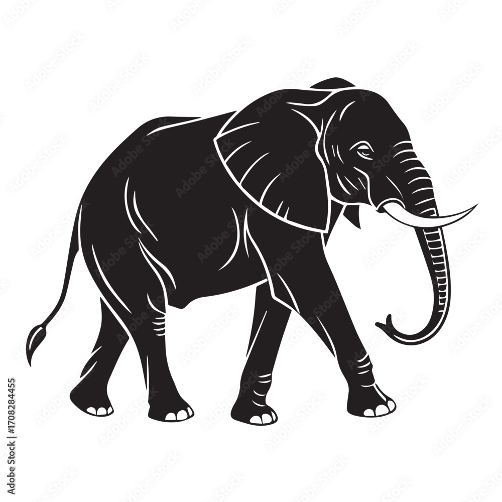 Obraz premium Silhouette of an african elephant walking, isolated on white background