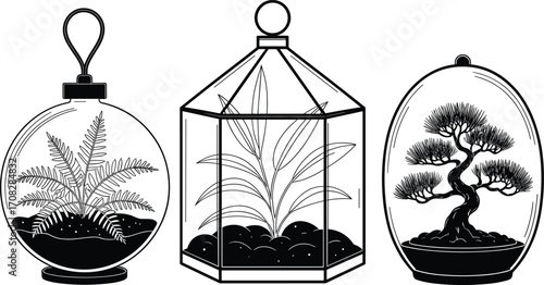 Glass terrariums with indoor plants, decorative bonsai and greenery, modern plant display in glass containers, minimalist botanical design for home and office decorGlass