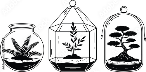 Glass terrariums with indoor plants, minimal botanical design for home, bonsai and foliage in containers, modern greenery decor for livin