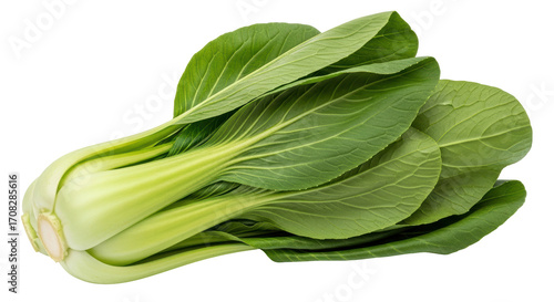 Photos Isolated Bok Choy Organic Vegetable Fresh Baby Bok Choi Culinary Cooking Ingredi